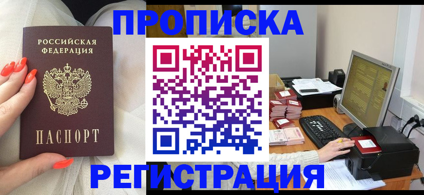 где прописаться в Кингисеппе